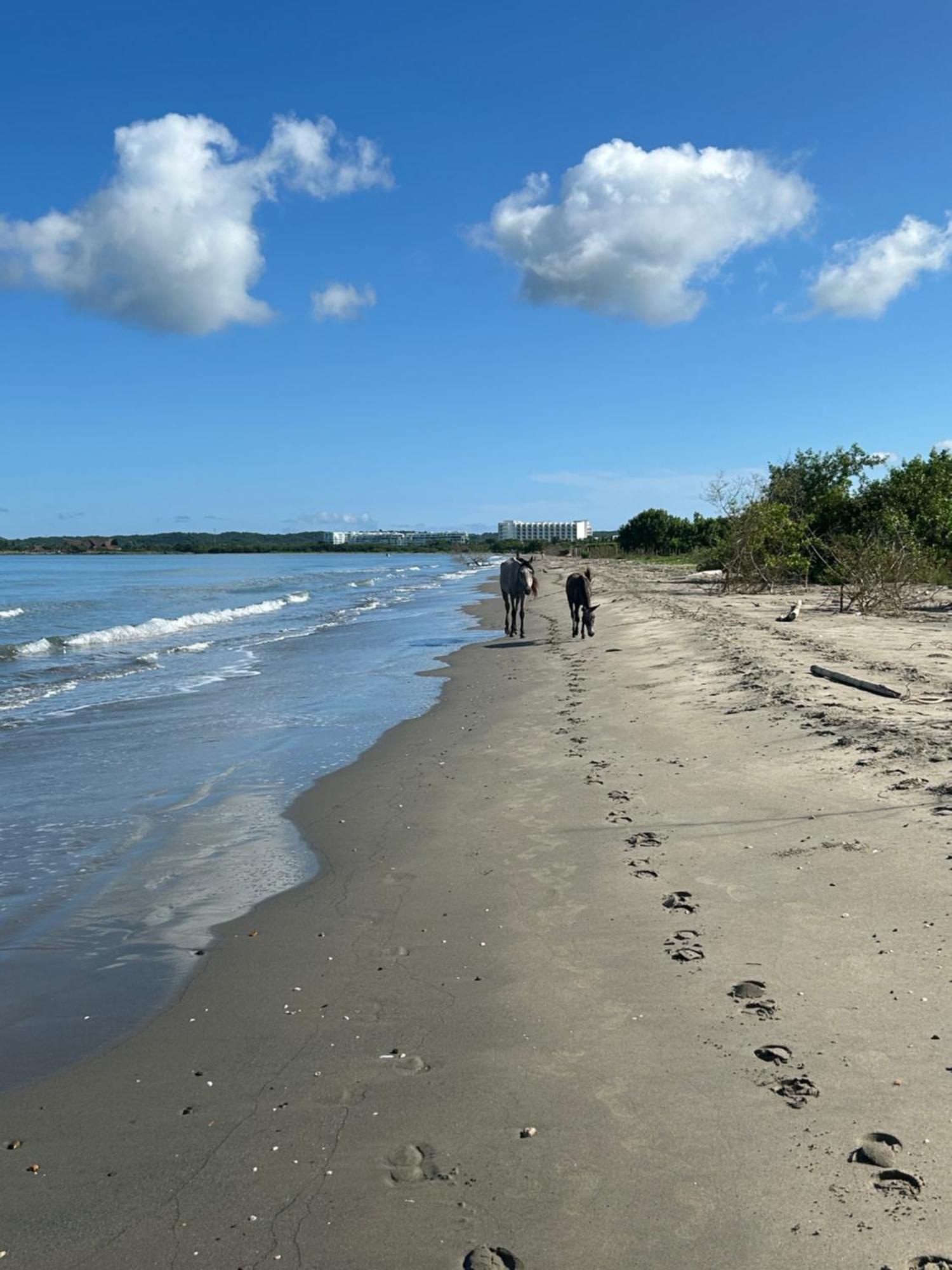 Apartment Lujo Y Relax Frente Al Mar En Morros Eos Cartagena